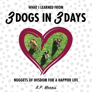 Paperback What I Learned from 3 Dogs in 3 Days: Nuggets of Wisdom for a Happier Life Book