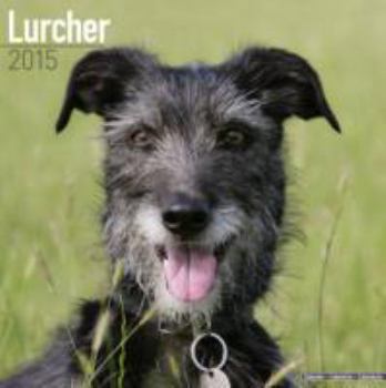 Lurcher Calendar - Just Lurcher Calendar - 2015 Wall calendars - Animal Calendars - Monthly Wall Calendar by Avonside