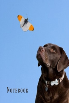 Notebook: Chocolate labrador dog, butterfly lined paperback jotter