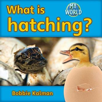 Paperback What Is Hatching? Book