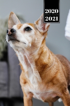 Chihuahua Dog Calendar Week Planner 2020 / 2021 - Proud Look: Pup Puppy Doggie Pet Owner Weekly Bullet Journal Notebook Diary in 6” x 9” Inch Pocket Size