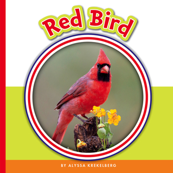 Library Binding Red Bird Book