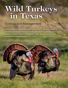 Hardcover Wild Turkeys in Texas: Ecology and Management Book
