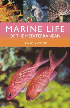 Marine Life of the Mediterranean 1399411705 Book Cover