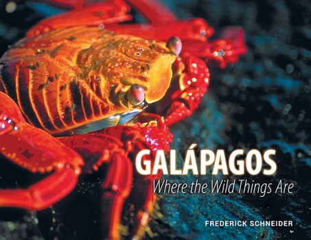 Paperback Galápagos: Where the Wild Things Are Book