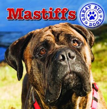 Mastiffs - Book  of the Great Big Dogs