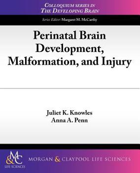 Paperback Perinatal Brain Development, Malformation, and Injury Book