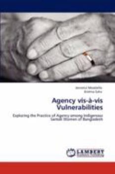 Paperback Agency VIS-A-VIS Vulnerabilities Book