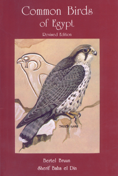 Paperback Common Birds of Egypt Book