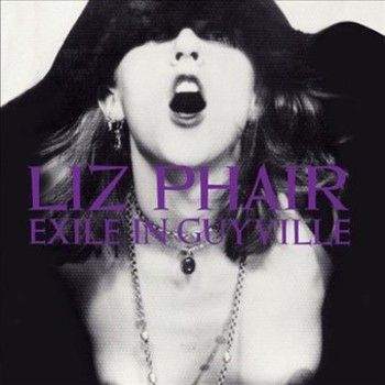 Vinyl Exile in Guyville Book