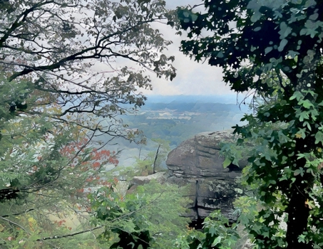 A BIG Canvas For - Whatever You Want - 11x8 - #2 (Chattanooga TN) : Plain Pages Inside