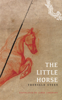 Hardcover The Little Horse Book