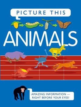 Hardcover Picture This! Animals: Amazing Information-Right Before Your Eyes Book