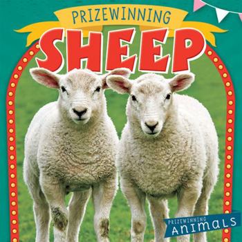 Paperback Prizewinning Sheep Book