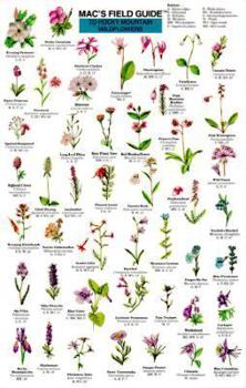 Paperback Mac's Field Guides: Rocky Mountain Wildflowers Book