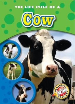 Life Cycle of a Cow - Book  of the Life Cycles