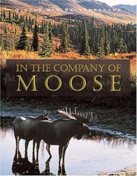 Hardcover In the Company of Moose Book