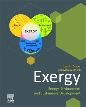 Hardcover Exergy: Energy, Environment and Sustainable Development Book