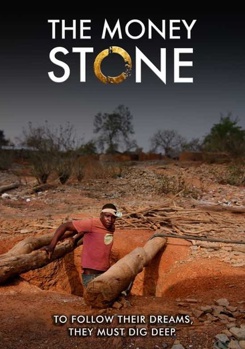 DVD The Money Stone Book