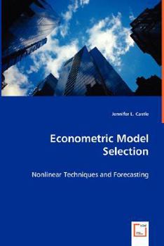 Paperback Econometric Model Selection Book