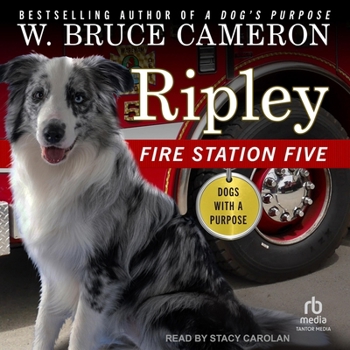 MP3 CD Ripley: Fire Station Five Book