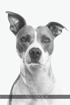 Notebook: Short coated annoyed white and gray dog [110 pages]: Short coated annoyed white and gray dog