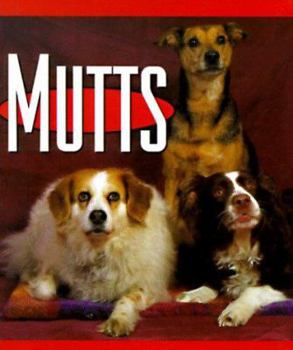 Hardcover Mutts Book