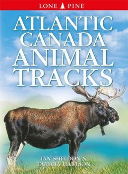 Paperback Atlantic Canada Animal Tracks Book