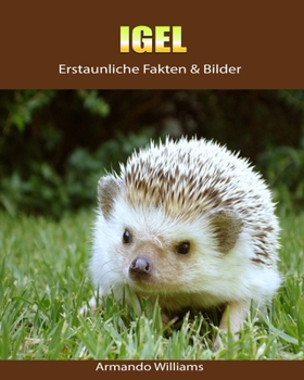 Paperback Igel: Erstaunliche Fakten & Bilder [German] Book