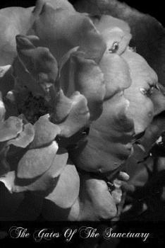 At the Gates of the Sanctuary: The Postulant and the Novice