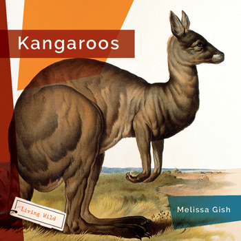 Kangaroos - Book  of the Living Wild