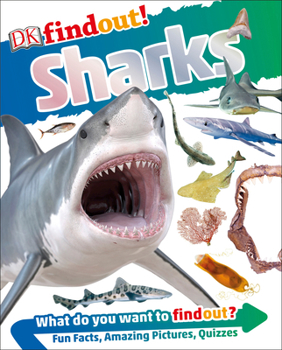 Paperback Dkfindout! Sharks Book