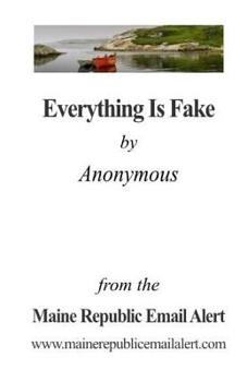 Paperback Everything Is Fake: by Anonymous Book