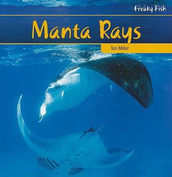 Paperback Manta Rays Book