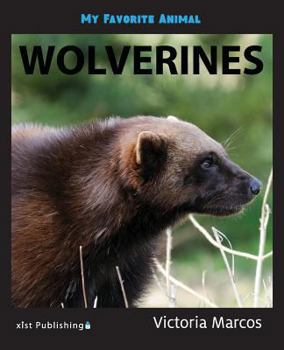 Paperback My Favorite Animal: Wolverines Book