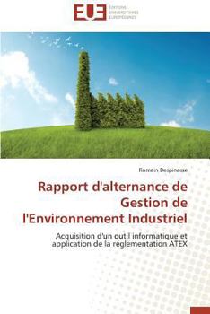 Paperback Rapport d'Alternance de Gestion de l'Environnement Industriel [French] Book