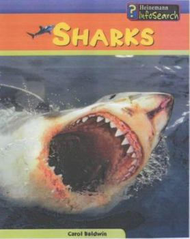 Hardcover Sea Creatures: Sharks Book