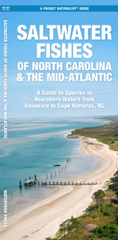 Saltwater Game Fish of North Carolina & Mid-Atlantic Nearshore Waters: A Guide to Species, Rules, and Tips for Fishing Delaware, Maryland, Virginia, a