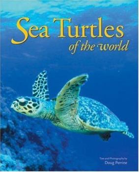 Paperback Sea Turtles of the World Book
