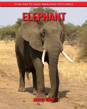 Elephant: Fun Facts and Amazing Pictures