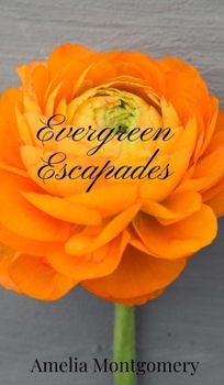 Hardcover Evergreen Escapades Book