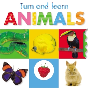 Board book Turn and Learn: Animals Book