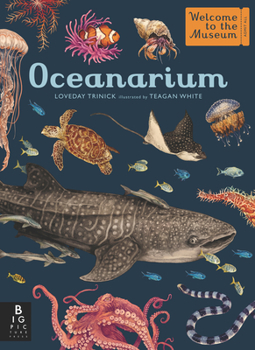 Hardcover Oceanarium: Welcome to the Museum Book