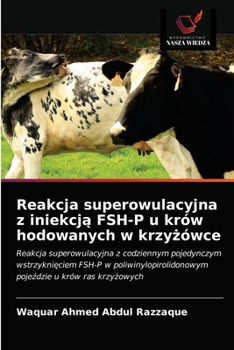 Reakcja superowulacyjna z iniekcją FSH-P u krów hodowanych w krzyżówce