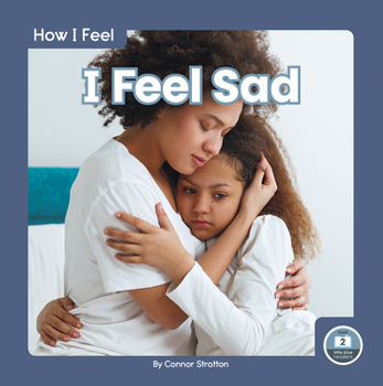 Library Binding I Feel Sad Book