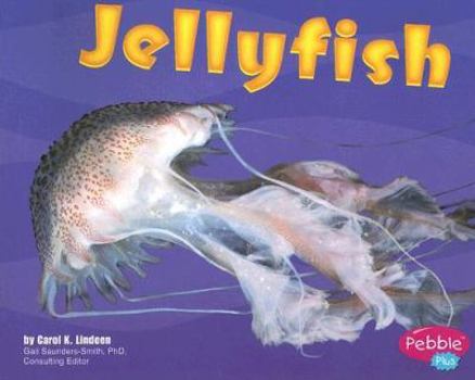 Paperback Jellyfish (Under the Sea) Book