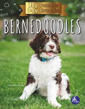 Hardcover Bernedoodles Book