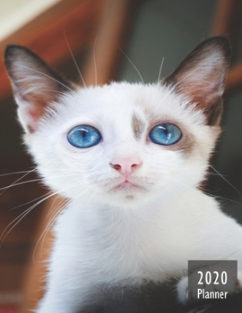 2020 PLANNER Kitten: Gifts For Cat Lovers Monthly Weekly Daily and Hourly Planners 2020 Calendar from Jan 1 2020 to Dec 2020  Note Pages To-Do List ... Themed Gifts Cover for Cat Lovers Version 4