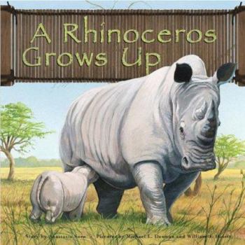 A Rhinoceros Grows Up (Wild Animals) - Book  of the Wild Animals