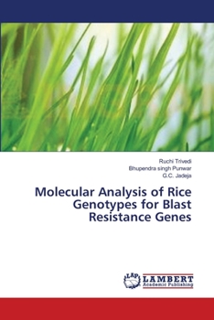 Paperback Molecular Analysis of Rice Genotypes for Blast Resistance Genes Book